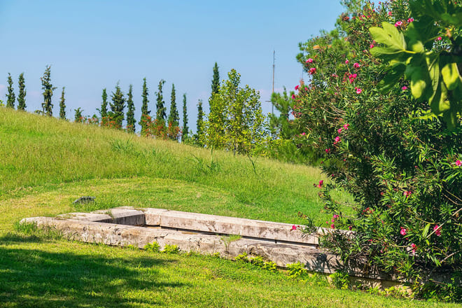 Vergina & Pella Guided Tour from Thessaloniki photo 5