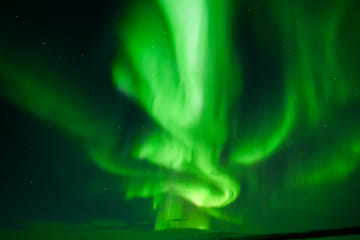 Northern Lights Minibus Tour to Abisko National Park, Kiruna
