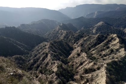 Discover Vashlovani: A Scenic Day Tour from Tbilisi