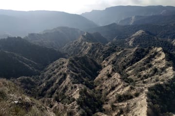 Birdwatching and Nature Tour in Vashlovani National Park from Tbilisi