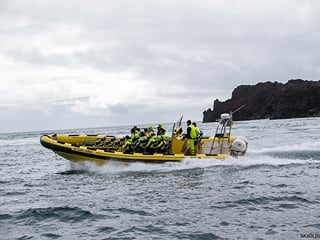 Rib boat tours in Vestmannaeyjar, south coast Iceland
