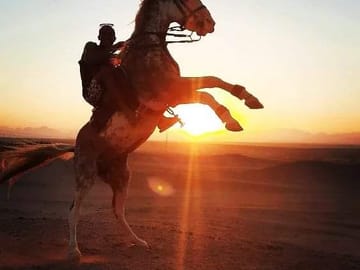 Premium 1 Hour Elite Desert Horseback Riding Adventure – Hurghada