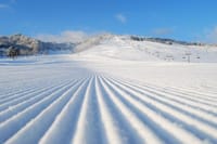 Winter Adventure in Takayama: Snow Activities Tour 1