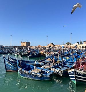 Excursion to Essaouira from Marrakech