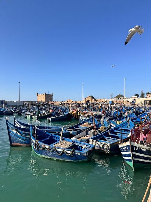 Excursion à Essaouira depuis Marrakech 