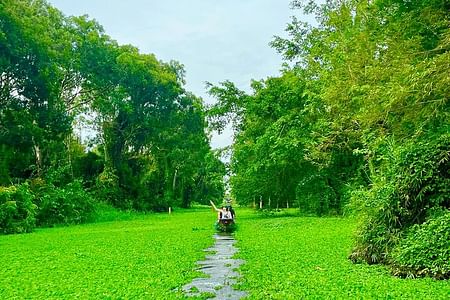 Mekong Romantic Experiences: Nature Reserve Exploration & Floating Market Adventure