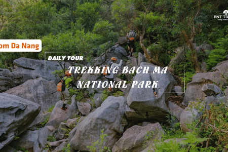 1 DAY BACH MA NATIONAL PARK FROM DA NANG (GROUP TOUR)