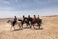 Horse Riding Tour Two Hours Sun &amp; Sea With Transfer - Hurghada