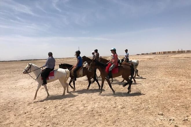 Horse Riding Tour Two Hours Sun &amp; Sea With Transfer - Hurghada
