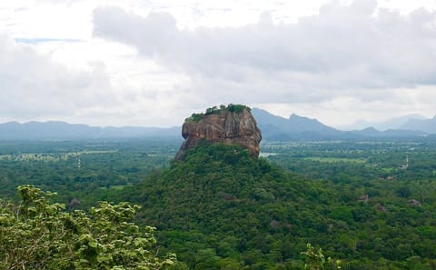 Pidurangala Rock Day Tour with Dambulla from Kandy