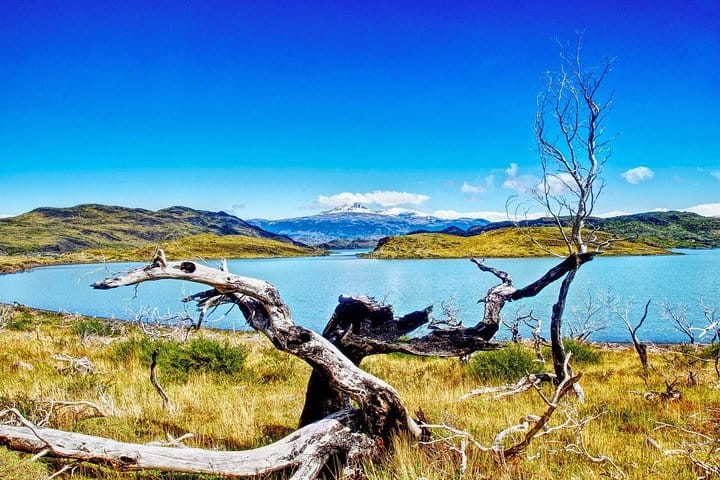 4-Day Atacama Desert Experience with Hotel, Tours & Meals