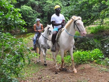Horseback Riding Tour at Macao Beach in the Dominican Republic