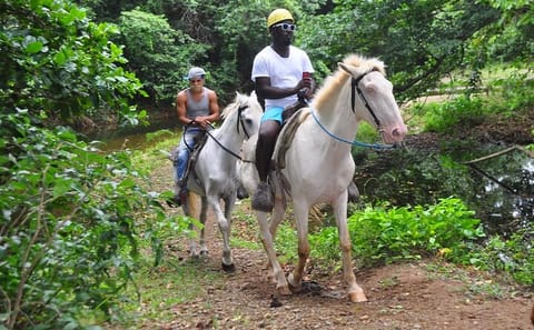 Horseback Riding Tour at Macao Beach in the Dominican Republic