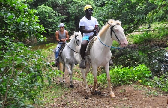 Horseback Riding at Macao Beach