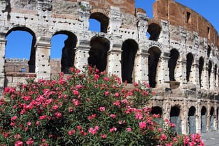 Colosseum Express Tour
