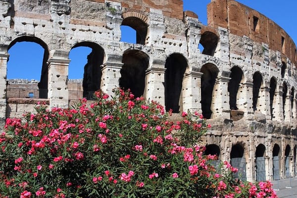 Colosseum Express Tour