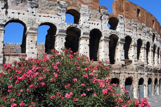 Colosseum Express Tour