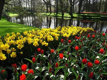 Day Tour to Keukenhof Gardens and Zaanse Schans from Amsterdam
