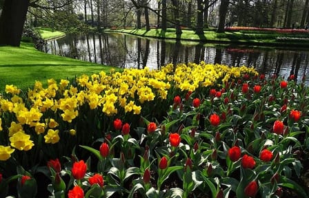 Day Tour to Keukenhof Gardens and Zaanse Schans from Amsterdam