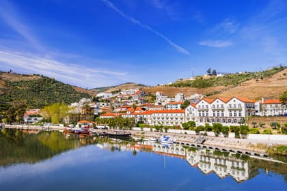 From Porto: Small Group Douro Valley Wine Tour
