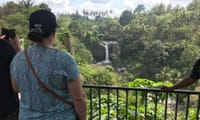 Best of Ubud: Monkey Forest - Swing - Rice Terrace - Temple 10
