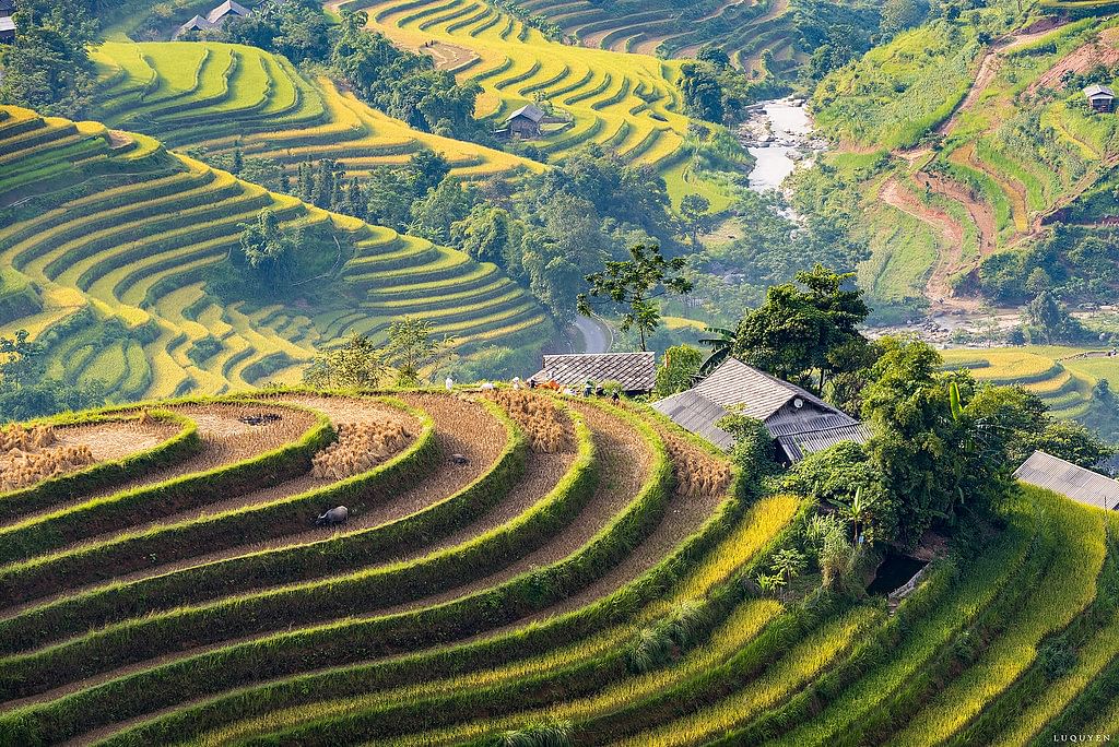 Trekking Adventure in Ha Giang: Explore Hoang Su Phi & Ethnic Cultures