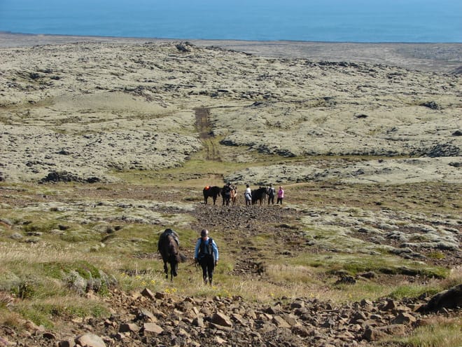 11 - Krýsuvík & Volcanic Valleys photo 3