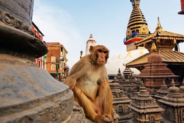 Private Trip: Kathmandu Durbar Square and Swayambhunath Stupa