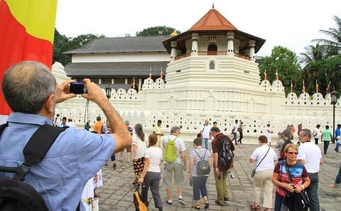 Day Trip to Kandy with Kingfisher Tours