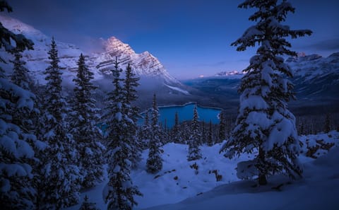 Explore Banff National Park: Emerald and Peyto Lakes Tour