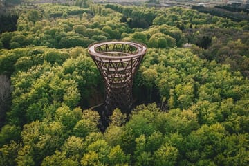 The Forest Tower and Forgotten Giants-A day tour from Copenhagen