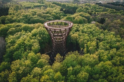 The Forest Tower and Forgotten Giants-A day tour from Copenhagen