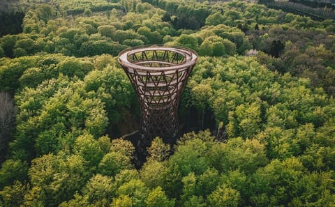 Forest Tower and Hill Top Trine Tour from Copenhagen