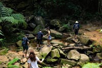 Adventure experience to Sono Beach - BY PARATY TOURS 4