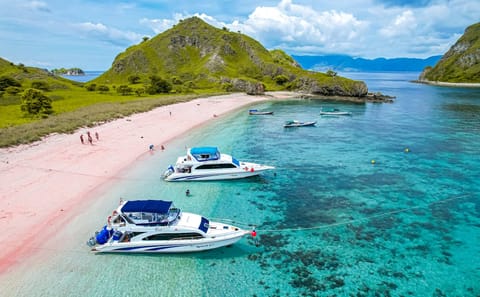 Explore Komodo National Park: 3-Day Adventure Tour