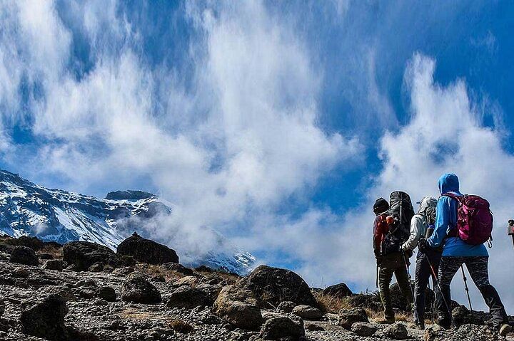 Mount Kenya National Park Hike via Narumoro Route: A Day of Adventure