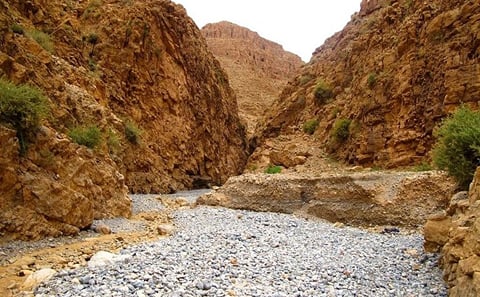 8-Day Private Morocco Desert Tour from Marrakech
