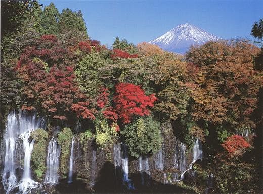 The best Mt.Fuji area tour from Shizuoka