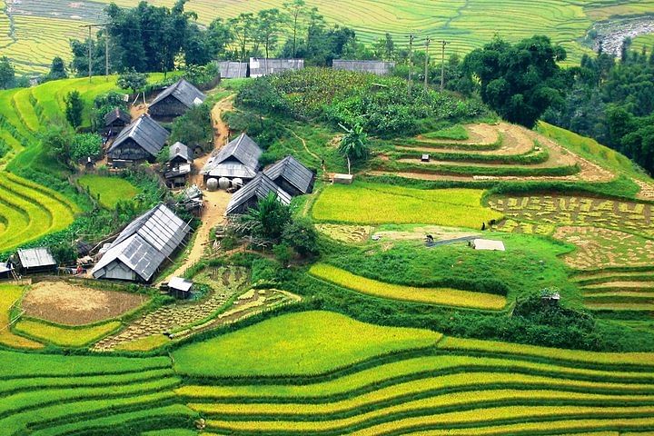 Sapa Homestay Adventure: Trekking, Culture, and Scenic Beauty