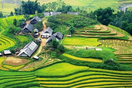 Sapa Homestay Adventure: Trekking, Culture, and Scenic Beauty