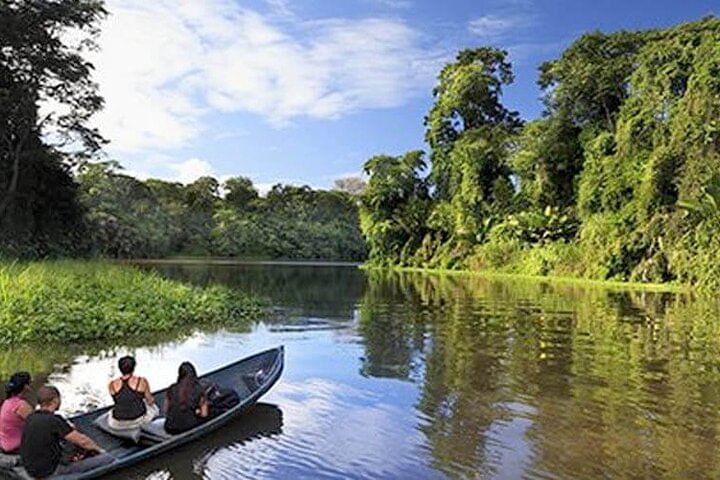 3-Day Tour in Tortuguero National Park with Pick Up