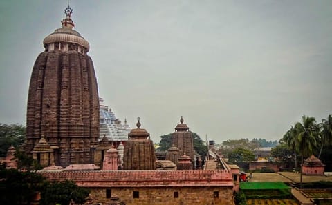 Cultural and Beach Tour of Bhubaneswar, Odisha