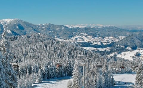 Private Day Trip to Bakuriani Ski Resort and Borjomi Park