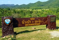 Watching wild elephants in Kuiburi National Park - a unique opportunity with a private guide 8