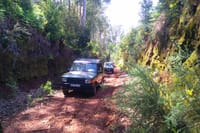 This Jeep Safari Tour