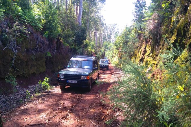 Madeira Safari - East of the island photo 4
