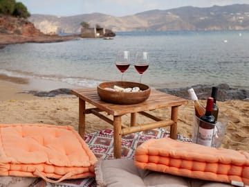 Wine Tasting Tour at Agios Sostis Beach, Mykonos