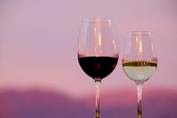 Half-Day Wine Road Premium Tour From Cafayate