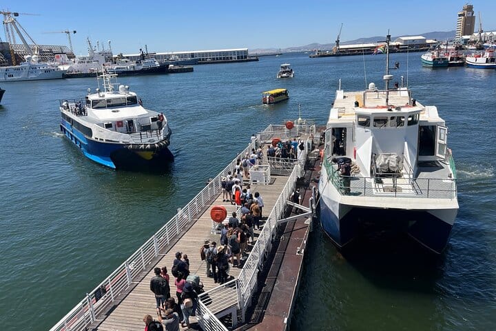 Robben Island Half Day Tour With Pre Booked Ticket from Cape Town