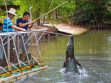 Explore Monkey Islands and Gio Mangrove Forest From Ho Chi Minh